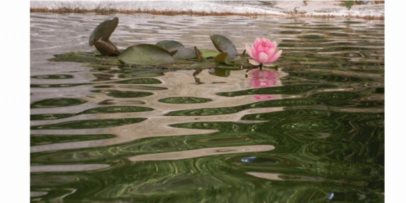 Recital de poes&iacute;a y piano en el convento San Antonio de La Cabrera