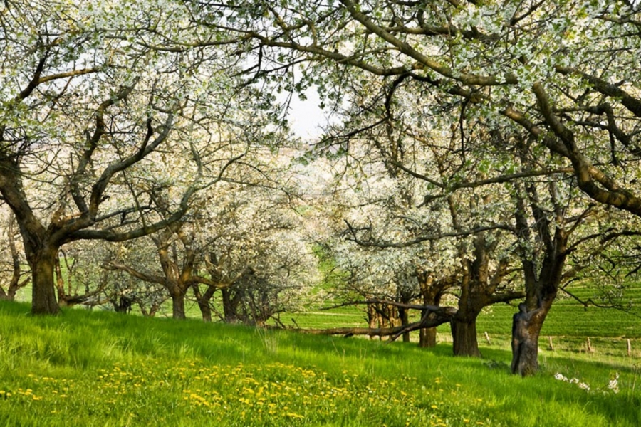 El XVIII Curso de Antropolog&iacute;a Filos&oacute;fica se centra en el tema de la mujer