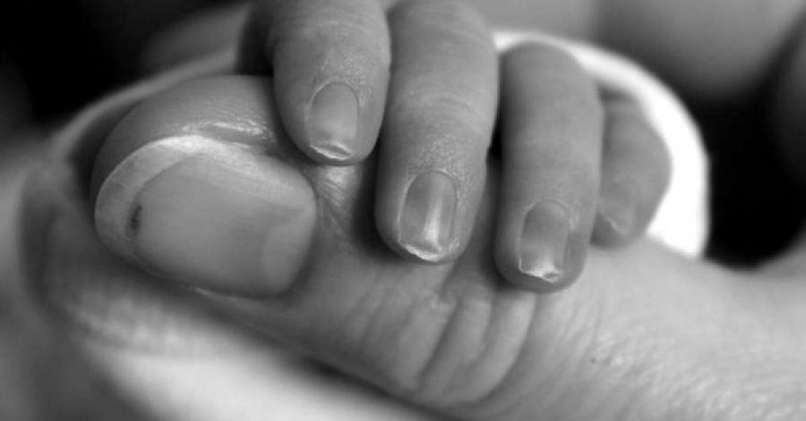 Obispo critica a quienes aprueban el aborto y se denominan católicos