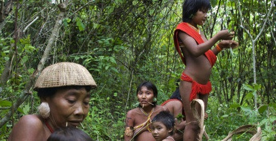 Grave preocupación eclesial ante una posible agresión a comunidades Yanomamis en la Amazonia brasileña