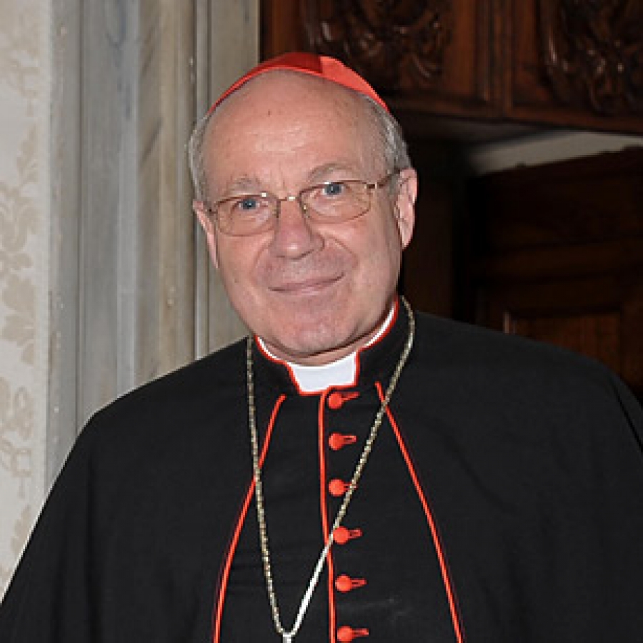 Cardenal Sch&ouml;nborn sobre 'Amoris Laetitia': &laquo;El Papa es un buen pastor, sabe de lo que habla&raquo;