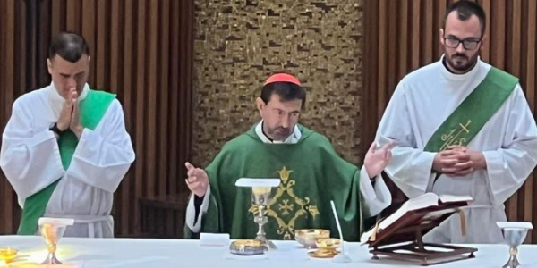 «Misión, tarea y vínculo». Primera Misa como cardenal del arzobispo Cobo