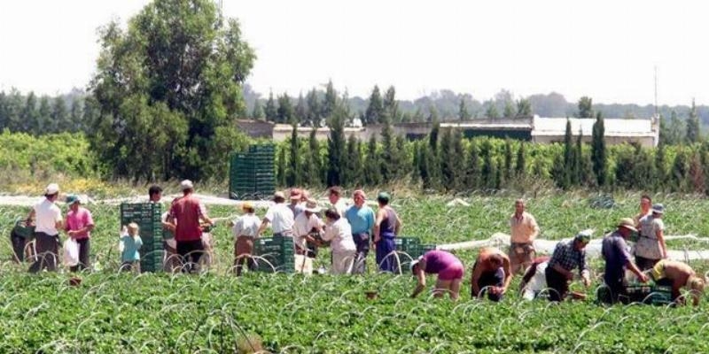 C&aacute;ritas analiza en Huelva los retos sociales que plantean el temporerismo y los asentamientos