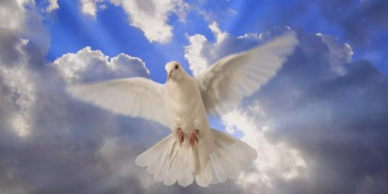 Nuestra Se&ntilde;ora del Carmen de Pozuelo organiza un Seminario de Vida en el Esp&iacute;ritu