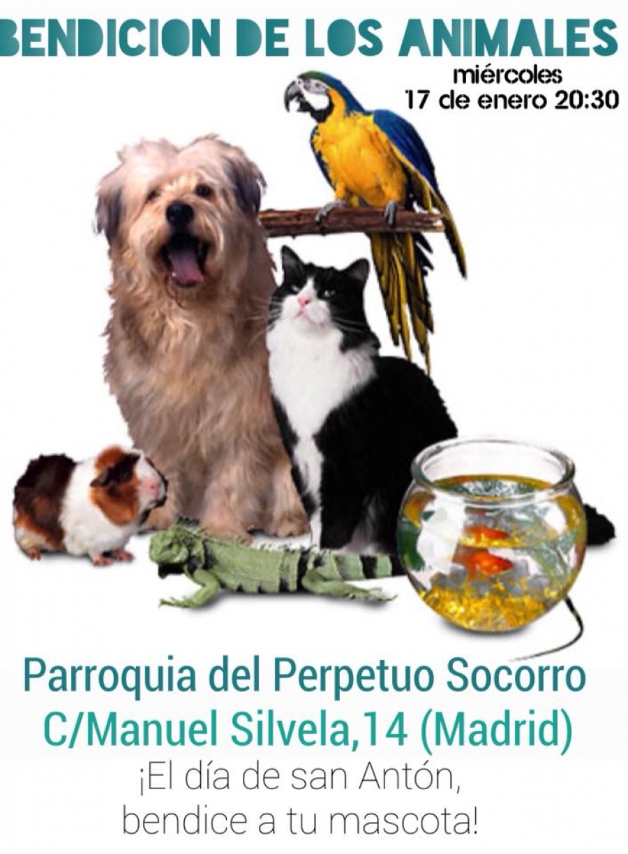 Perpetuo Socorro bendice animales en la fiesta de san Ant&oacute;n