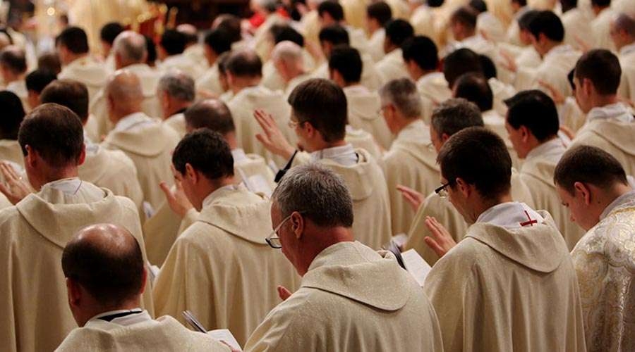 Estados Unidos celebrará Semana Nacional de las Vocaciones