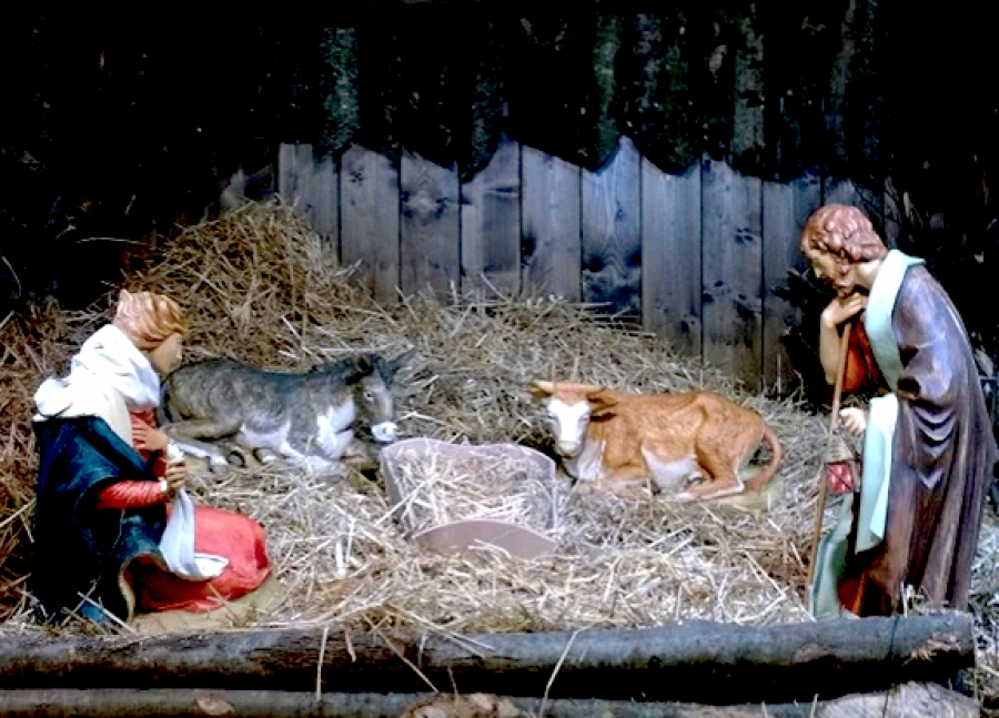 A pesar de todo hay esperanza