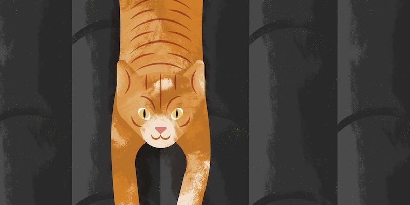 San Ant&oacute;n honra a su titular con la tradicional venta de panecillos y bendici&oacute;n de animales