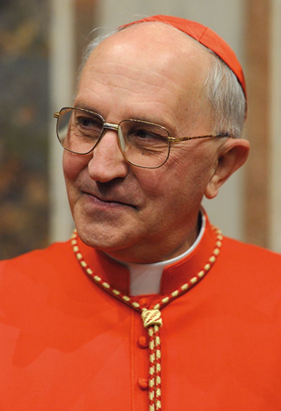 El Card. Filoni en Vietnam: &ldquo;una iglesia viva&rdquo; que se distingue por la &ldquo;fe firme de los fieles vietnamitas&rdquo;