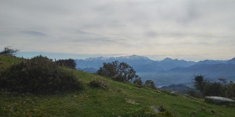 La Comisi&oacute;n Diocesana de Ecolog&iacute;a Integral ofrece en Cuaresma una serie de charlas sobre el cuidado de la creaci&oacute;n