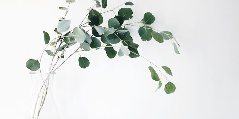 Curso de Navidad 2023 del ITVR