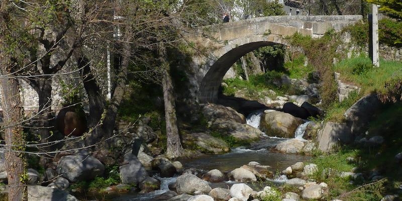 Nuestra Se&ntilde;ora de la Visitaci&oacute;n de Las Rozas organiza un campamento de verano en Piedralaves