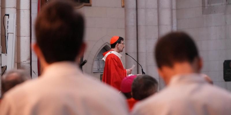El cardenal Jos&eacute; Cobo invita en el Domingo de Ramos a &laquo;aprender de memoria&raquo; el estilo de Jes&uacute;s: &laquo;No busca imponerse, sino servir. Amar antes que pedir. No aplasta, sino levanta&raquo;.