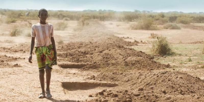 Conocer la realidad de Marruecos y Mauritania a través de la experiencia de sus Cáritas nacionales