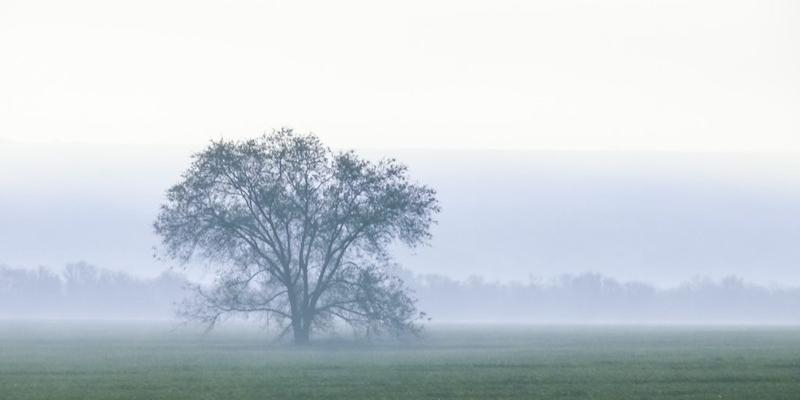 La Fundaci&oacute;n CLE presenta un Posgrado en Educaci&oacute;n Cl&aacute;sica y Humanidades