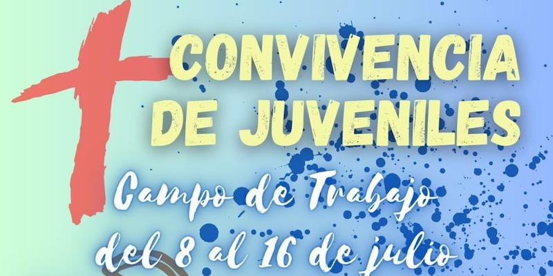 Nuestra Se&ntilde;ora de los Desamparados y San Lucas realiza en julio un campo de trabajo con juveniles