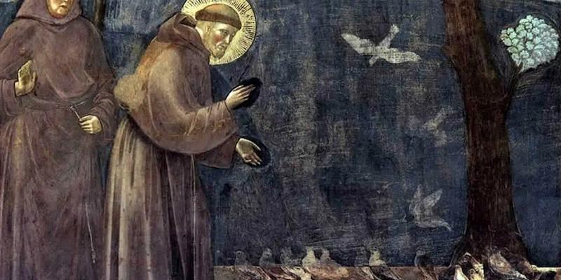 Josep Manuel Vallejo imparte una conferencia virtual sobre el encuentro con lo creado como fuente de espiritualidad