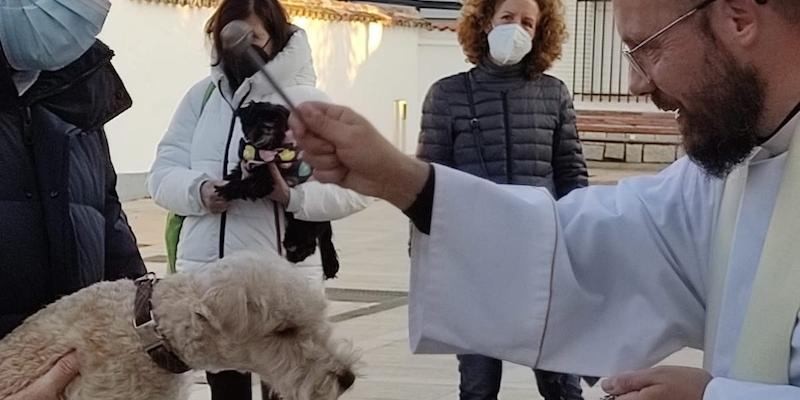 Villanueva del Pardillo mantiene la bendici&oacute;n de animales y el reparto de naranjas en honor a san Ant&oacute;n y san Sebasti&aacute;n