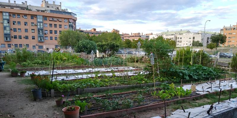Nuestra Se&ntilde;ora de Las Rosas, una parroquia comprometida con la ecolog&iacute;a integral
