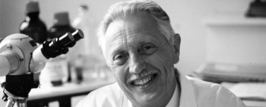 Coloquio sobre alquiler de &uacute;teros organizado por la Fundaci&oacute;n 'J&eacute;r&ocirc;me Lejeune'