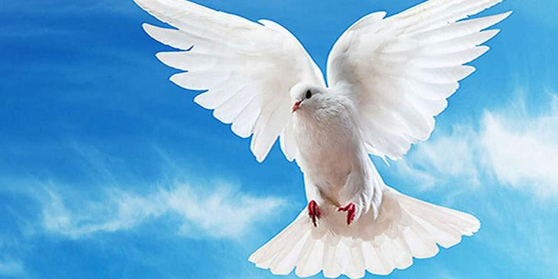 San Valent&iacute;n y San Casimiro de Vic&aacute;lvaro invita a rezar por la paz durante el tiempo lit&uacute;rgico cuaresmal