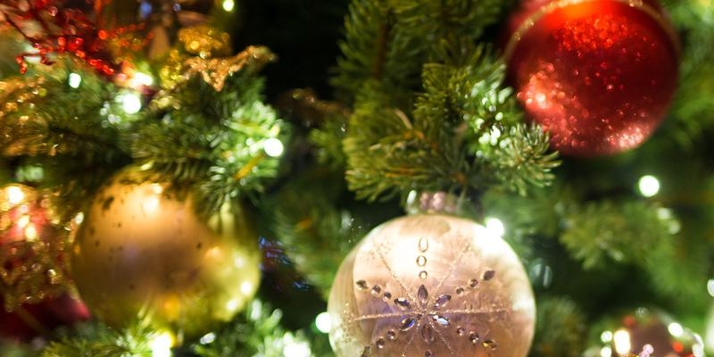 Santo Domingo de la Calzada ofrece un concierto de Navidad