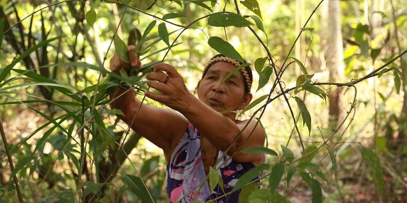 Mensaje de C&aacute;ritas Internacional: Cuidado del medio ambiente, justicia social y derechos humanos para proteger a las personas m&aacute;s vulnerables al cambio clim&aacute;tico